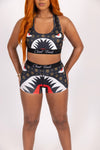 Fly Ish